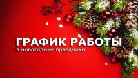 График работы ГБУЗ РБ Федоровская ЦРБ в нерабочие и праздничные дни с 29.12.2024г.  по 08.01.2025г.
