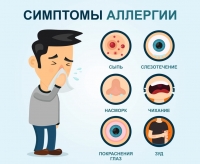 О внимании к аллергии